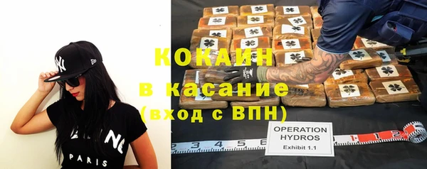 крисы Алексин