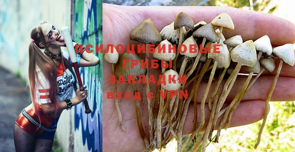 кокаин Алексеевка